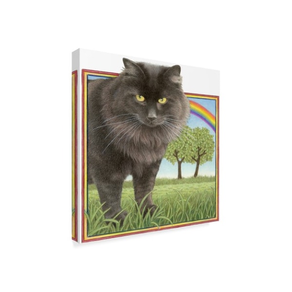 Francien Van Westering 'Black Cat And Rainbow' Canvas Art,18x18